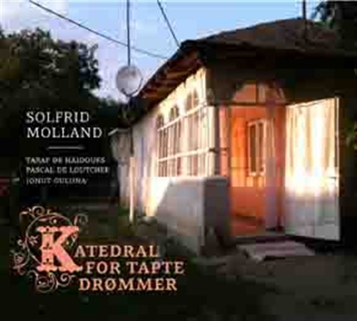 Cover for Solfrid Molland · Katedral For Tapte Drommer (CD) (2011)