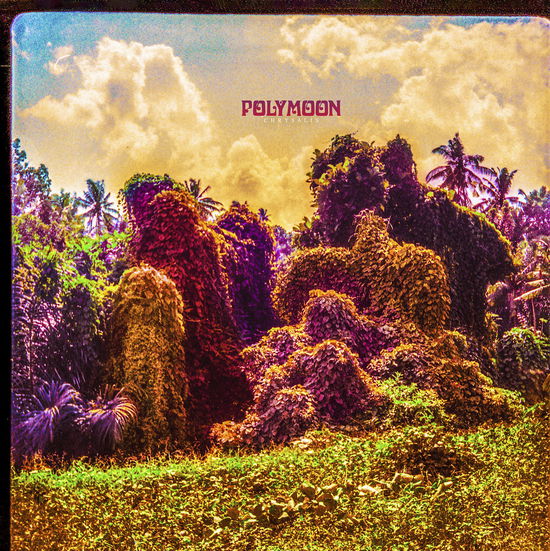 Cover for Polymoon · Chrysalis (LP) [Limited edition] (2023)