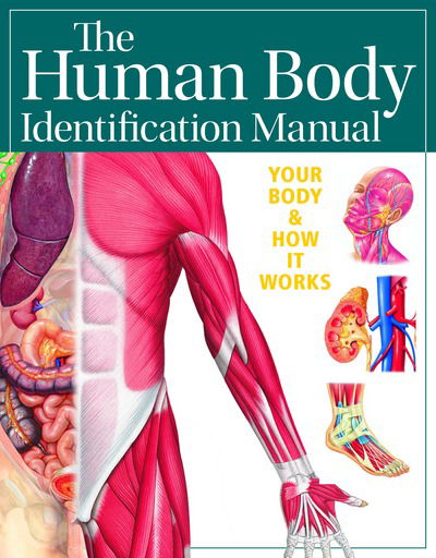 Human Body Identification Manu - Whitmore - Books - New Burlington Books - 9780857624710 - July 7, 2016