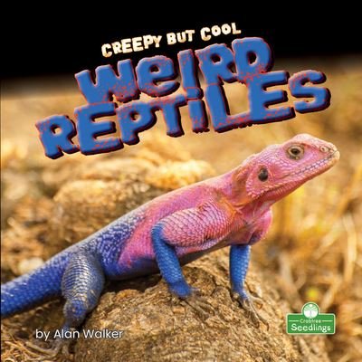 Cover for Alan Walker · Weird Reptiles (Book) (2021)