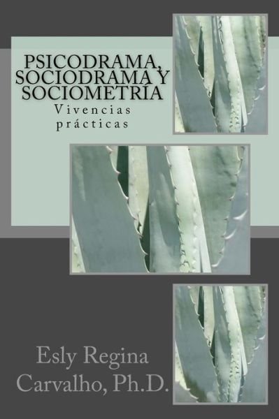 Cover for Esly Regina Carvalho Ph D · Psicodrama, Sociodrama Y Sociometria: Vivencias Practicas (Paperback Book) (2013)