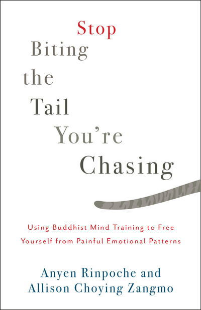 Cover for Anyen Rinpoche · Stop Biting the Tail You're Chasing: Using Buddhist Mind Training to Free Yourself from Painful Emotional Patterns (Taschenbuch) (2018)