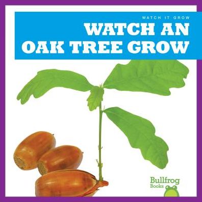 Cover for Kirsten Chang · Watch an Oak Tree Grow (Paperback Book) (2019)