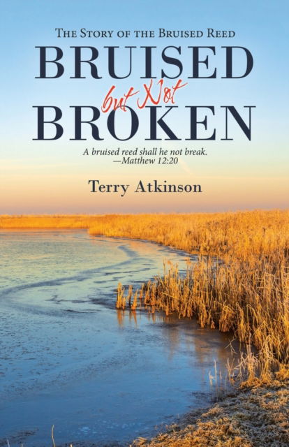 Cover for Terry Atkinson · Bruised but Not Broken (Paperback Book) (2021)