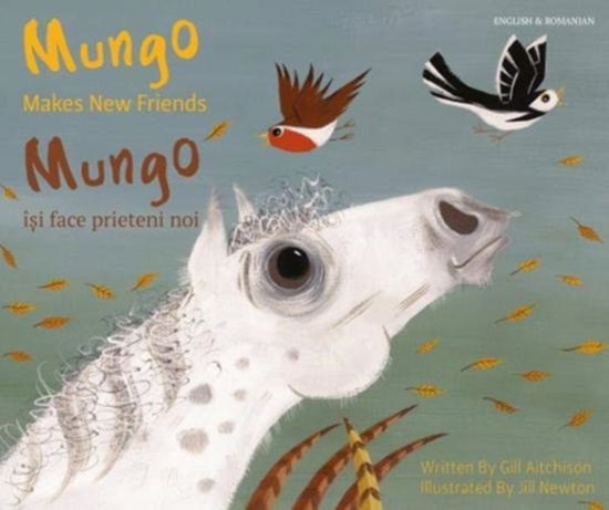 Cover for Gill Aitchison · Mungo Makes New Friends Romanian / English (Paperback Bog) (2018)