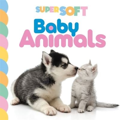 Cover for Autumn Publishing · Super Soft Baby Animals - Baby Touch and Feel (Bok) (2022)