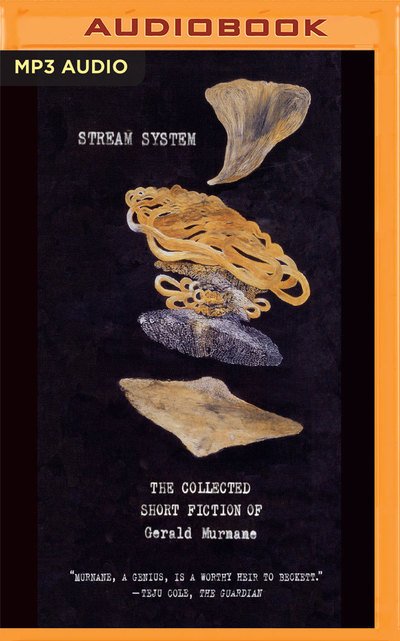 Stream System - Gerald Murnane - Livre audio - BRILLIANCE AUDIO - 9781978672710 - 2 avril 2019