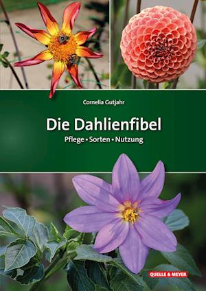 Cover for Cornelia Gutjahr · Die Dahlienfibel (Book) (2024)