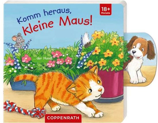 Cover for Taube · Komm heraus, kleine Maus! (Book)