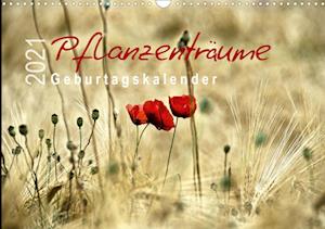 Cover for Düll · Pflanzenträume / Geburtstagskalend (Book)