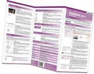 Wo&Wie: OneNote 2013 - der Überblick - Andreas Zintzsch - Książki - BILDNER Verlag - 9783832800710 - 26 sierpnia 2013