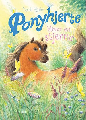 Cover for Usch Luhn · Ponyhjerte bliver en stjerne (Hardcover bog) [1. udgave] (2022)