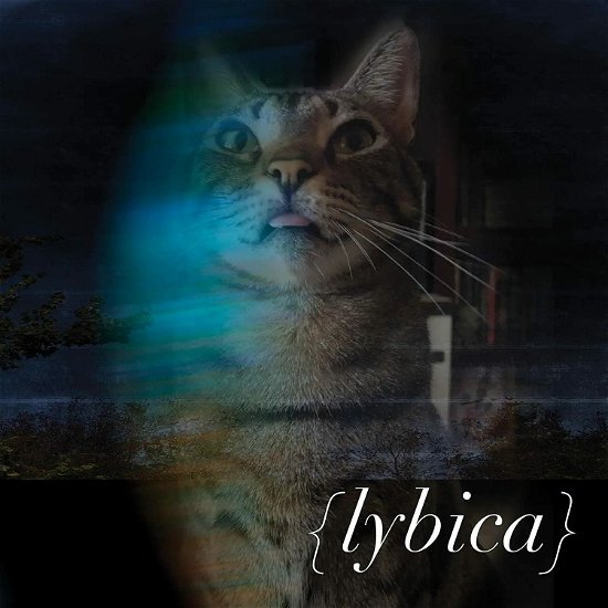 Cover for Lybica · Lybica (Clear Blue Marbled Vinyl LP) (LP) (2022)