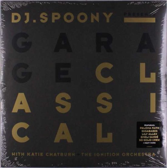 Cover for Dj Spoony · Garage Classical (LP) (2019)