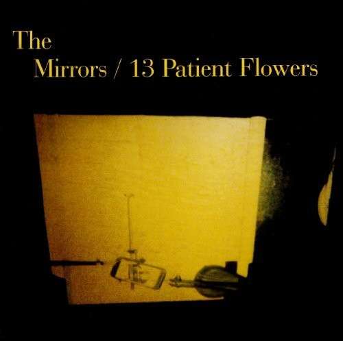 Cover for Mirrors · 13 Patient Flowers (LP) (2006)