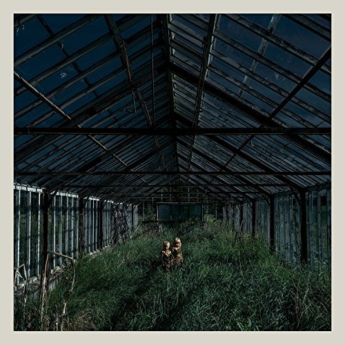 Cover for Foxing · Dealer (LP) [Coloured edition] (2015)