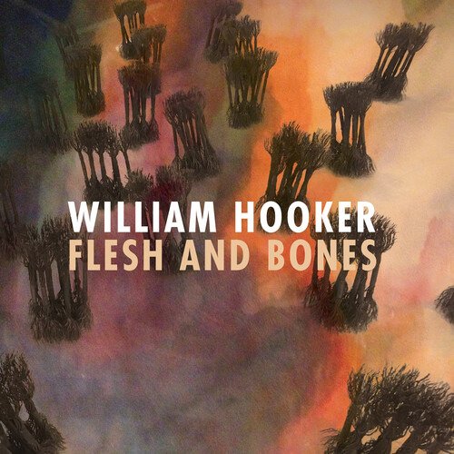 Flesh and Bones - William Hooker - Musiikki - ORG MUSIC - 0711574938711 - perjantai 3. marraskuuta 2023