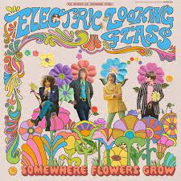 Cover for Electric Looking Glass · Somewhere Flowers Grow (LP) (2021)