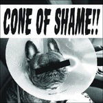 Cone of Shame (Gold) - Faith No More - Musique - ROCK - 0862966000711 - 1 décembre 2016