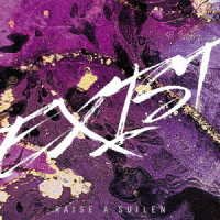 Cover for Raise A Suilen · Exist (CD) [Japan Import edition] (2021)