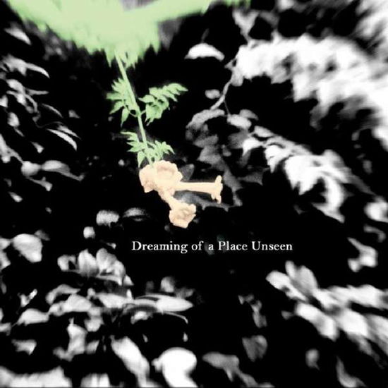 Cover for Nolan Quinn · Dreaming Of A Place Unseen (CD) (2014)