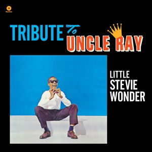 Tribute to Uncle Ray - Stevie Wonder - Muzyka - WAX TIME - 8436542016711 - 14 października 2014