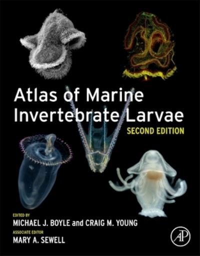 Atlas of Marine Invertebrate Larvae - Craig M. Young - Książki - Elsevier Science & Technology - 9780081028711 - 1 lutego 2025