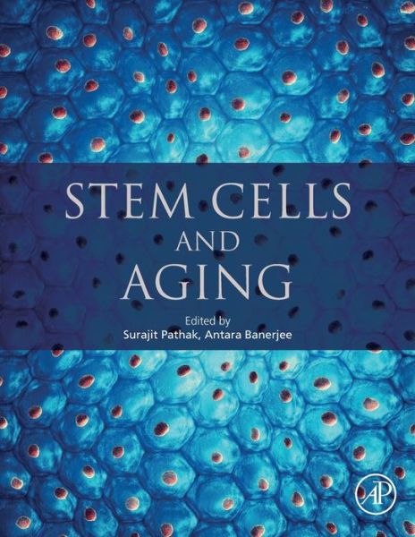 Cover for Stem Cells and Aging (Paperback Book) (2021)