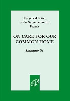 Cover for Pope Francis · Zzz Care for Our Common Home (Paperback Bog) (2015)
