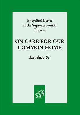 Cover for Pope Francis · Zzz Care for Our Common Home (Paperback Bog) (2015)