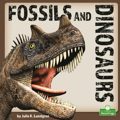 Cover for Julie K Lundgren · Fossils and Dinosaurs (Paperback Book) (2023)