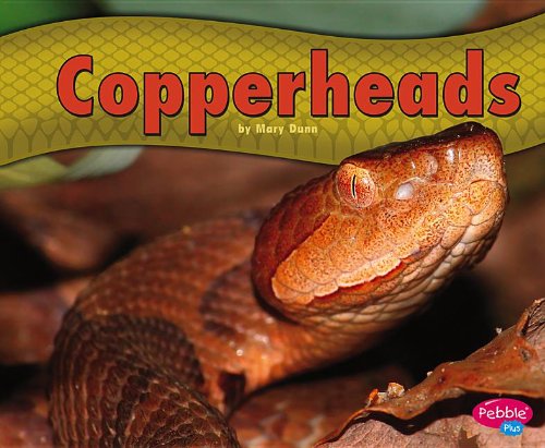 Cover for Mary R. Dunn · Copperheads (Snakes) (Hardcover Book) (2013)