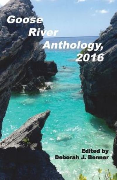 Cover for Goose River Anthology, 2016 (Bok) (2016)