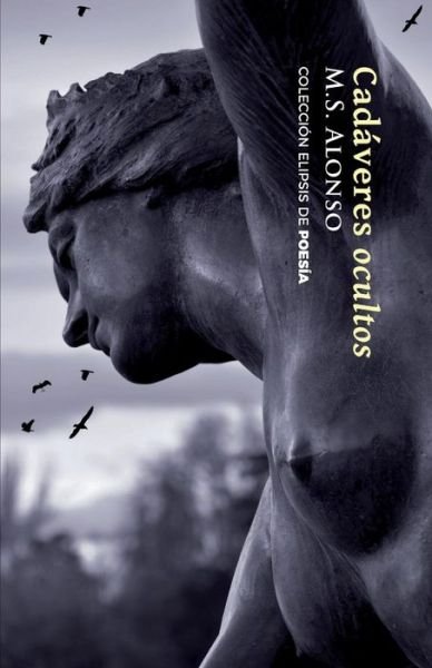 Cover for M S Alonso · Cadaveres Ocultos (Paperback Book) (2018)