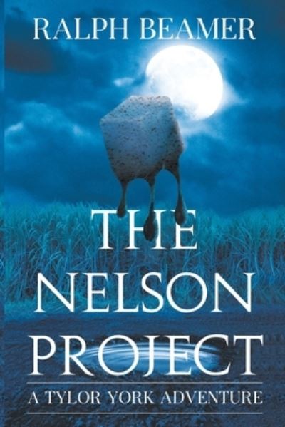 Ralph Beamer · The Nelson Project (Pocketbok) (2024)