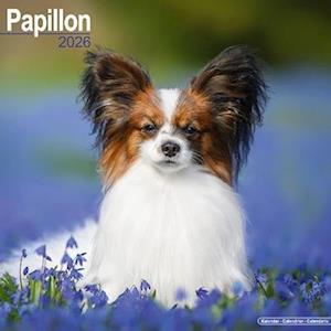 Cover for Papillon Calendar 2026  Square Dog Breed Wall Calendar - 16 Month (Calendar) (2025)