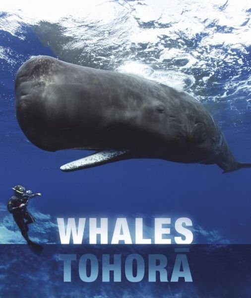 Cover for Barbara Todd · Whales and Dolphins of Aotearoa New Zealand (Paperback Book) (2014)