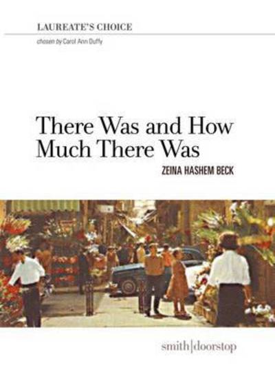 Cover for Zeina Hashem Beck · There Was and How Much There Was (Paperback Book) (2016)