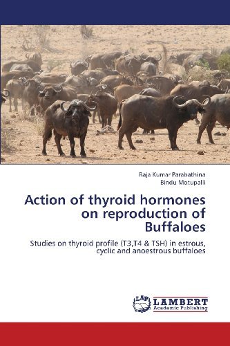 Cover for Bindu Motupalli · Action of Thyroid Hormones on Reproduction of Buffaloes: Studies on Thyroid Profile (T3,t4 &amp; Tsh) in Estrous, Cyclic and Anoestrous Buffaloes (Paperback Book) (2013)