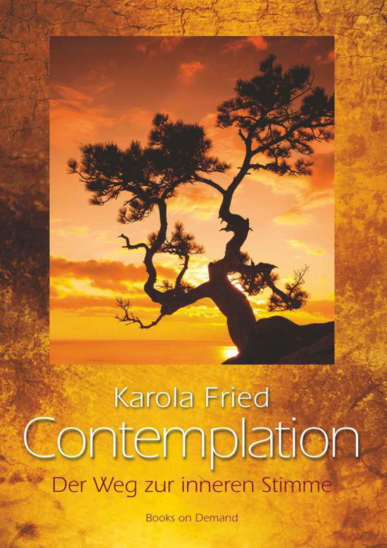 Cover for Fried · Contemplation (Book)