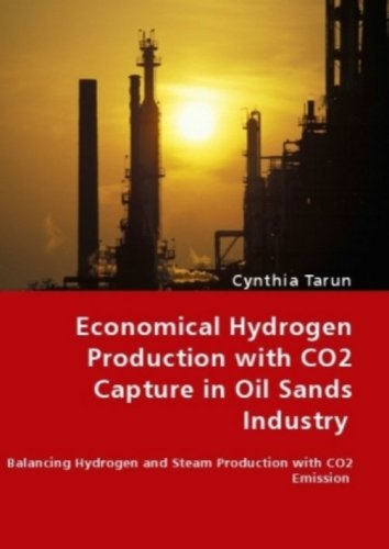 Cover for Cynthia Tarun · Economical Hydrogen Production with Co2 Capture in Oil Sands Industry (Paperback Book) (2008)