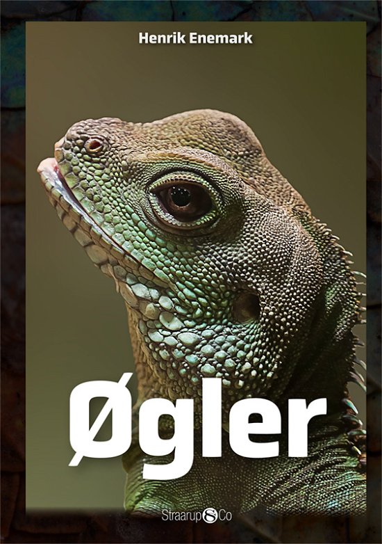 Cover for Henrik Enemark · Maxi: Øgler (Hardcover Book) [1.º edición] (2021)