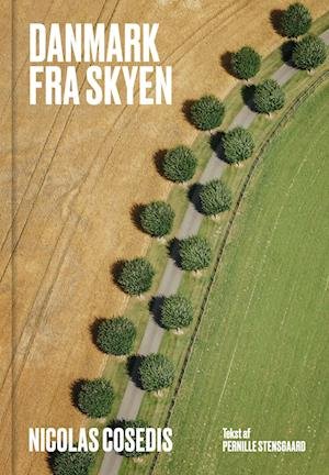 Cover for Nicolas Cosedis · Danmark fra skyen (Bound Book) [1e uitgave] (2022)