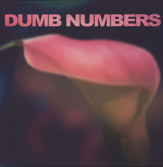 Cover for Dumb Numbers (LP) (2013)