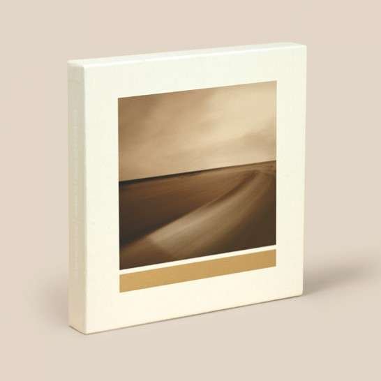 Cover for Brian Eno · Small Craft On A Milk Sea (LP) [Limited edition] [Box set] (2010)