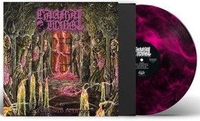 Cover for Carnal Tomb · Embalmed In Decay (LP) (2023)