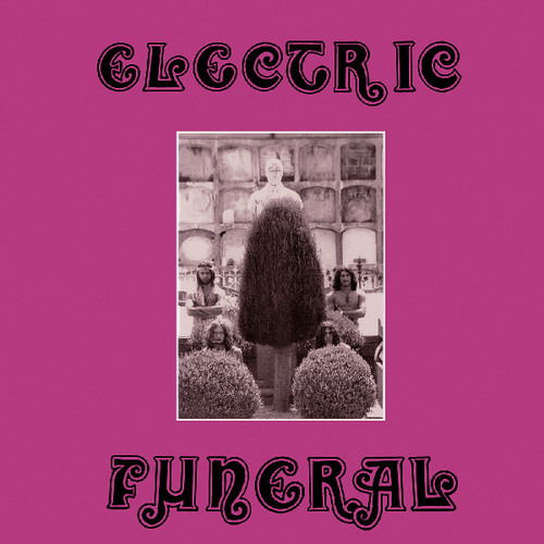 Cover for Electric Funeral · The Wild Performance (CD) (2019)