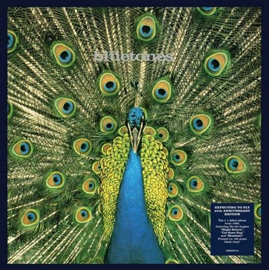 Cover for Bluetones · Expecting To Fly - 25th Anniversary Edition (LP) (2021)