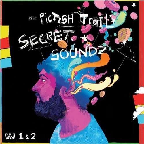Cover for Pictish Trail · Secret Soundz 1 + 2 (LP) (2014)