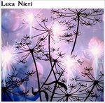 Cover for Luca Nieri (CD) (2016)